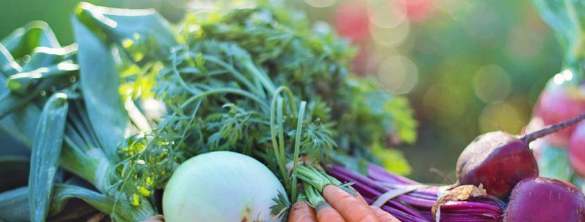 Avoiding mood swings with these veggie-centric recipes