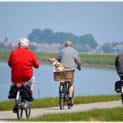 Benefits of exercise for aging populations