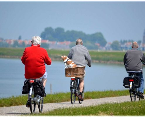 Benefits of exercise for aging populations