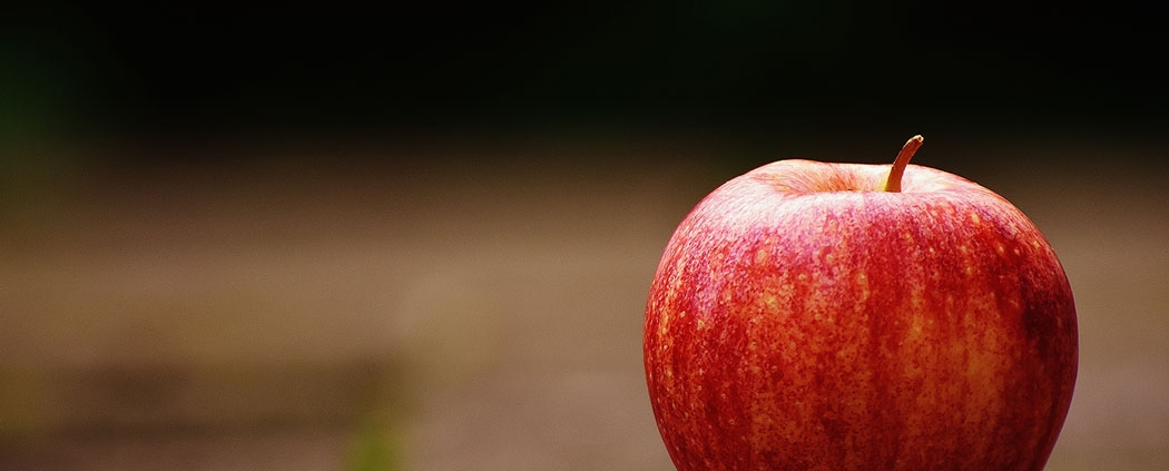 Apple sitting on the ground