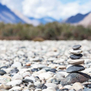 FFC-Wellness-Do-You-Balance-Your-Yin-And-Yang-Heres-Why-You-Should-FFC-Formula-Wellness-Chicago FFC wellness: do you balance your yin and yang