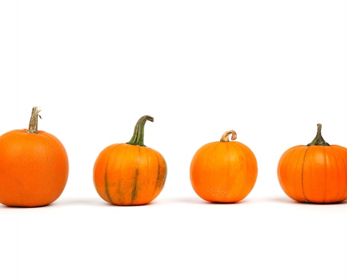 A photo of pumpkins lined up