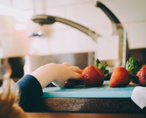 Food safety temperatures and other basics for preparation to stay healthy!