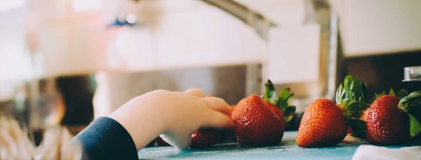 Food safety temperatures and other basics for preparation to stay healthy!