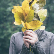 Seasonal-Affective-Disorder-Treatment-Through-Massage-Therapy-FFC-Chicago-Wellness Seasonal Affective Disorder treatment through massage therapy