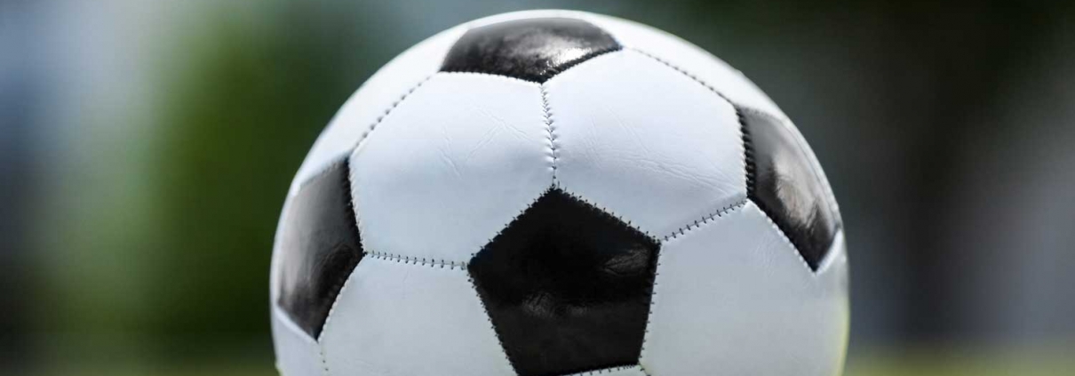 A soccer ball on the grass