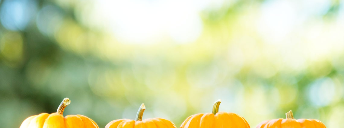 Pumpkin skincare - benefits of including pumpkin in your beauty routine