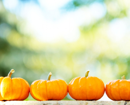 Pumpkin skincare - benefits of including pumpkin in your beauty routine