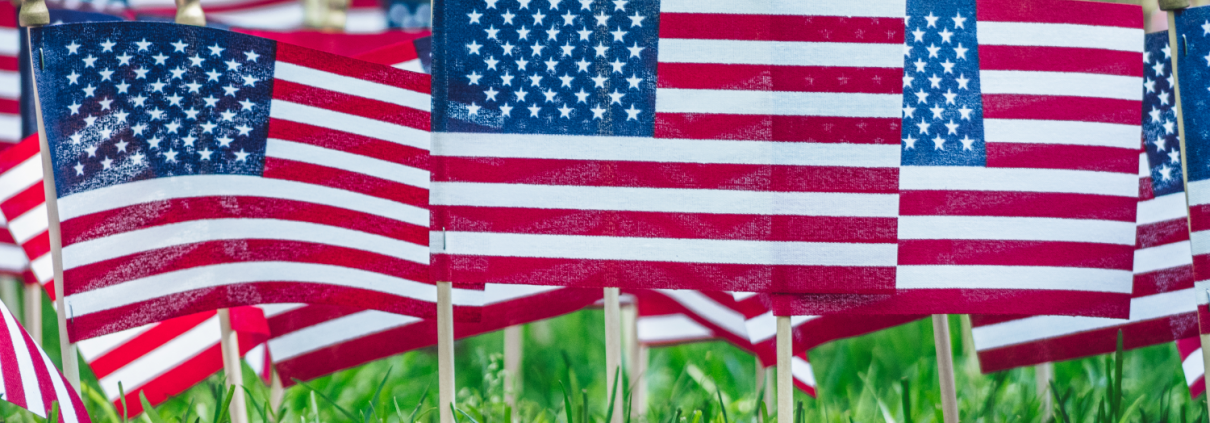 American flags in green grass