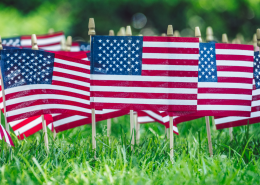 American flags in green grass