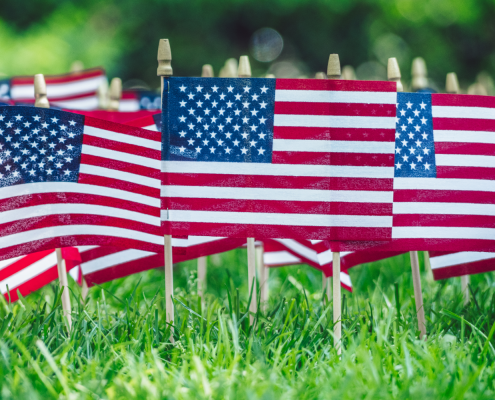 American flags in green grass