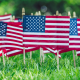 American flags in green grass