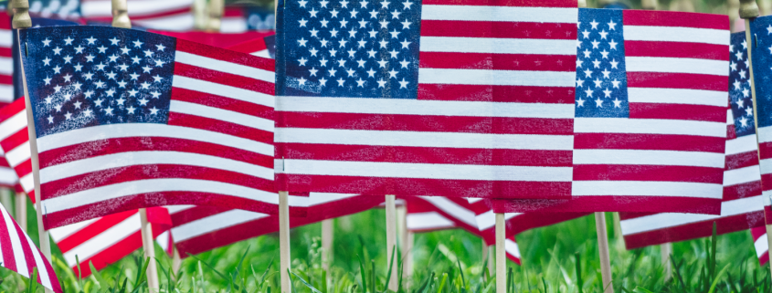 American flags in green grass