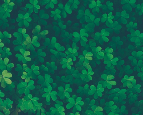 Lucky clover background