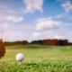 White golf ball on a green grass. Golf course. Summer luxury activities.