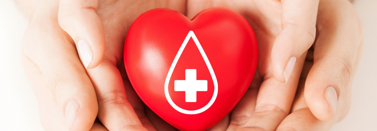 Two sets of hands holding a red heart