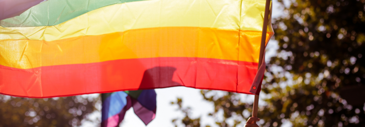 Person holding up a rainbow Pride flag outside