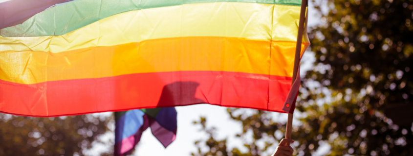 Person holding up a rainbow Pride flag outside