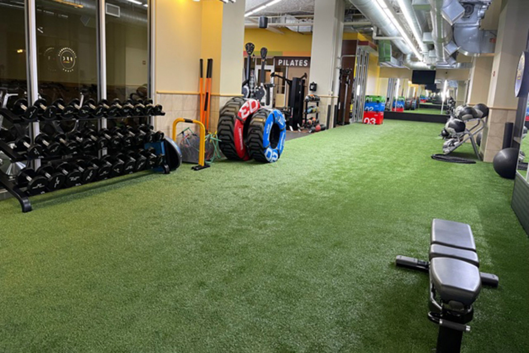 photo of South Loop turf