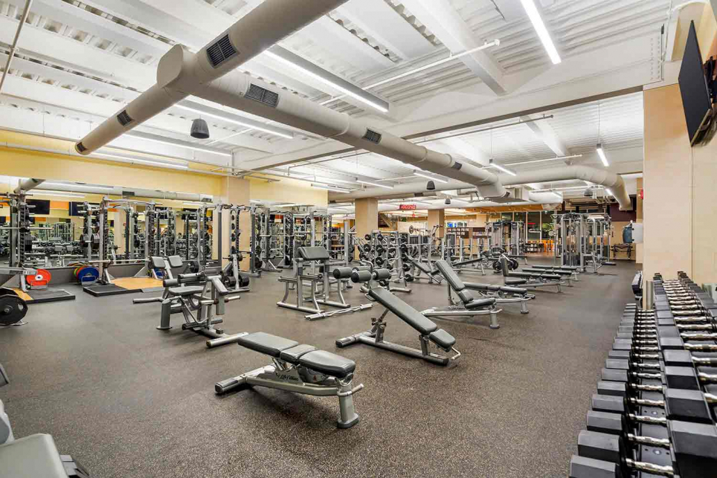 Fitness floor featuring weight machines, free weights squat racks and more inside FFC Elmhurst.