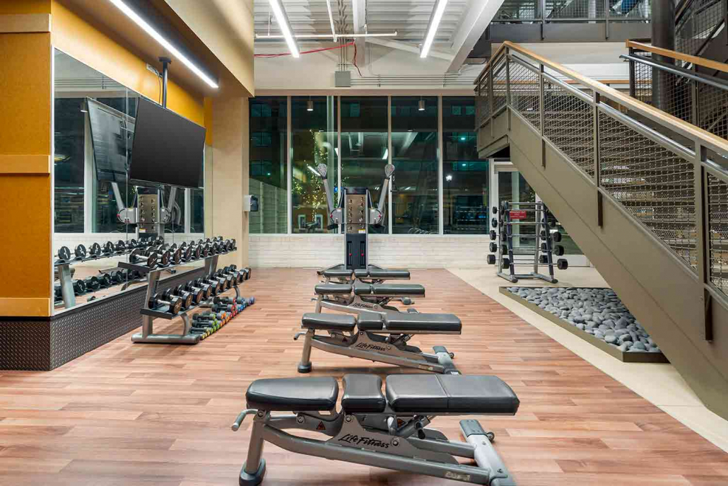 Free weights stand with weight benches inside FFC Elmhurst Gym.