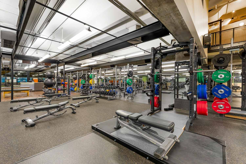 Strength Floor with Benches and Weight Racks inside FFC Gold Coast.