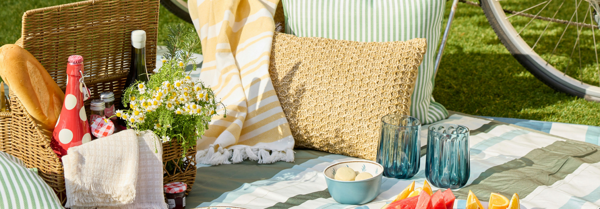 picnic on a lawn