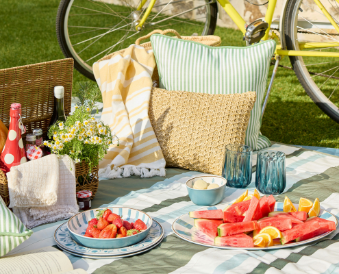 picnic on a lawn