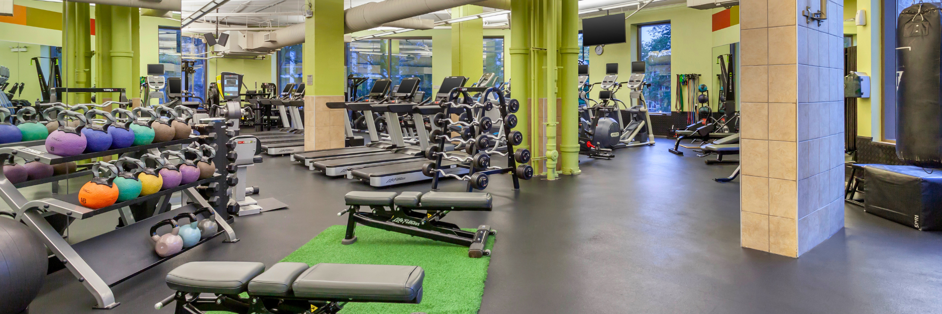 Meet Middy Matthews: Finding Her Home in Chicago's Fitness Community at FFC